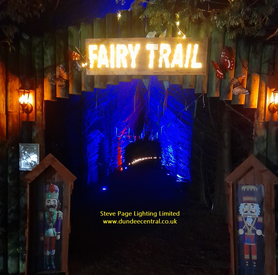 magical forest outdoor event fairylight hire